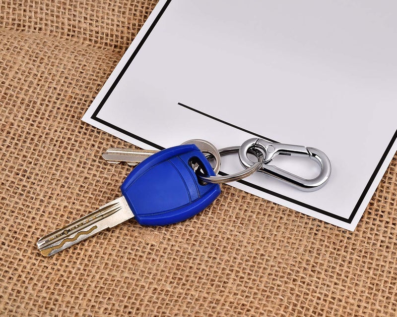 DS.DISTINCTIVE STYLE DS. DISTINCTIVE STYLE Carabiner Clip Keyring Stainless Steel Keychain with Snap Hook Quick Release Key Rings - Image 4